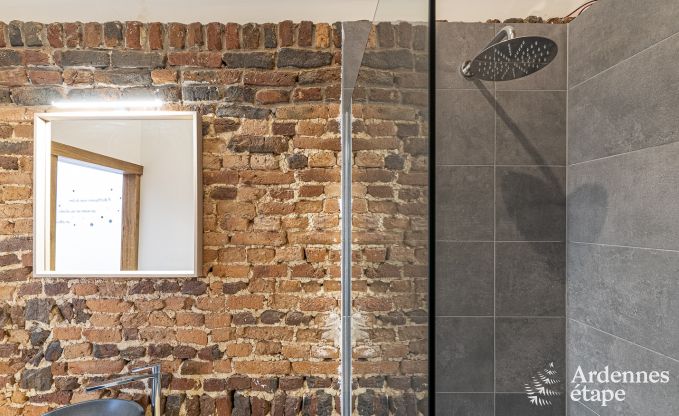 Gite de charme  Couvin pour 6 personnes en Ardenne