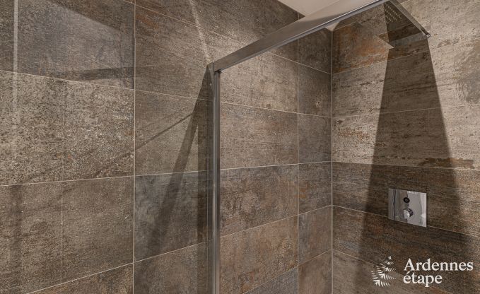 Gite de charme  Couvin pour 18 personnes en Ardenne