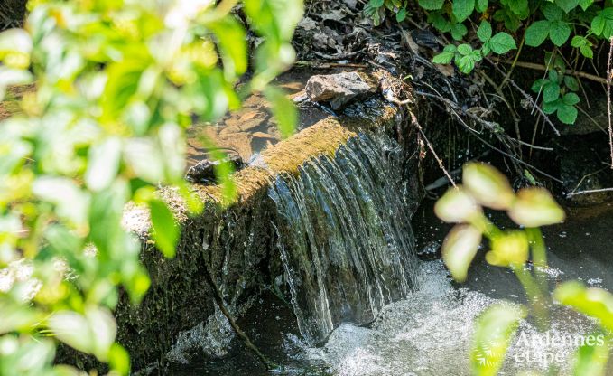 Gite de charme � Couvin pour 2 personnes en Ardenne