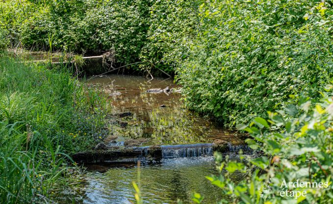 Gite de charme � Couvin pour 4+2 personnes en Ardenne