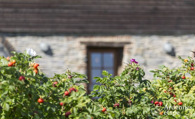 Gite de charme � Couvin pour 15 personnes en Ardenne