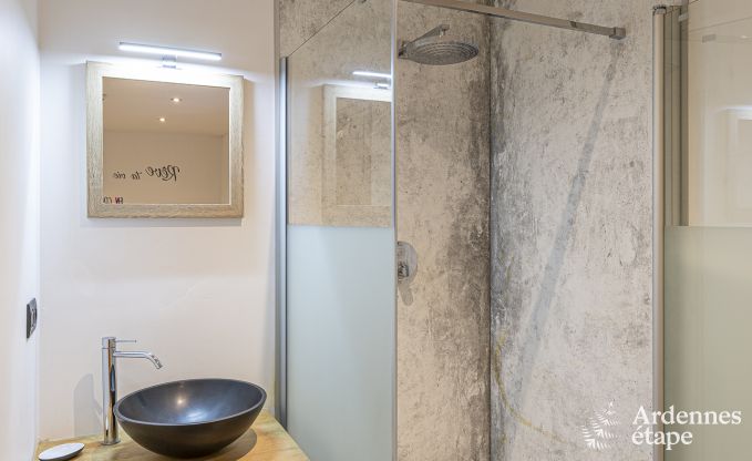 Gite de charme  Couvin pour 8 personnes en Ardenne