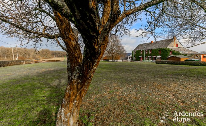 Maison de vacances  Couvin pour 15 personnes en Ardenne
