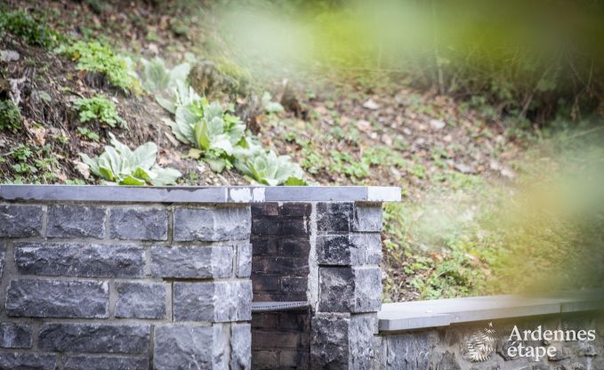 Maison de vacances  Daverdisse pour 19/20 personnes en Ardenne