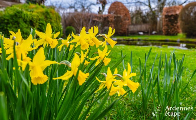 Maison de vacances � Daverdisse pour 9 personnes en Ardenne