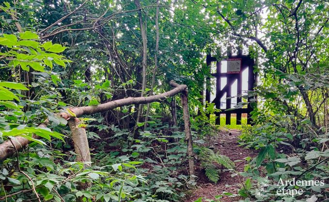 Villa de luxe Daverdisse, 10 chambres, 9 salles de bains, piscine, jacuzzi, sauna, salle de jeux, proche fort et rivire