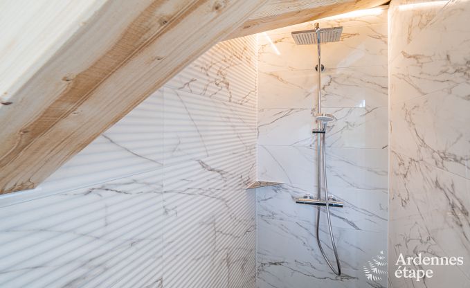 Villa de luxe Daverdisse, 10 chambres, 9 salles de bains, piscine, jacuzzi, sauna, salle de jeux, proche fort et rivire