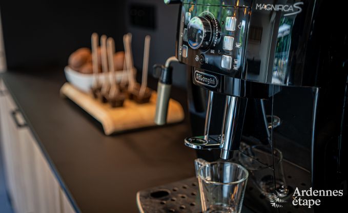 Villa de luxe Daverdisse, 10 chambres, 9 salles de bains, piscine, jacuzzi, sauna, salle de jeux, proche fort et rivire