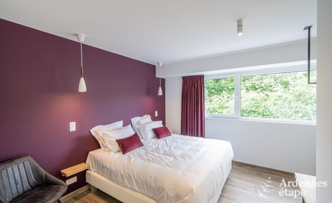 Villa de luxe Daverdisse, 10 chambres, 9 salles de bains, piscine, jacuzzi, sauna, salle de jeux, proche fort et rivire