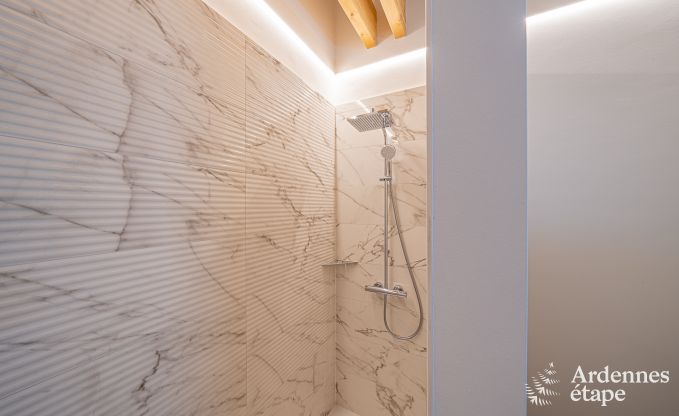 Villa de luxe Daverdisse, 10 chambres, 9 salles de bains, piscine, jacuzzi, sauna, salle de jeux, proche fort et rivire