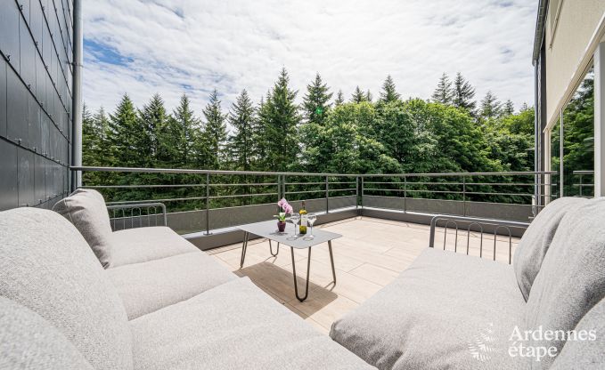 Villa de luxe Daverdisse, 10 chambres, 9 salles de bains, piscine, jacuzzi, sauna, salle de jeux, proche fort et rivire