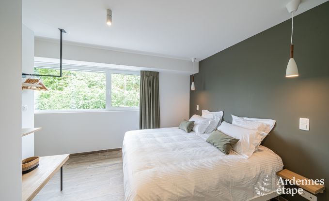 Villa de luxe Daverdisse, 10 chambres, 9 salles de bains, piscine, jacuzzi, sauna, salle de jeux, proche fort et rivire