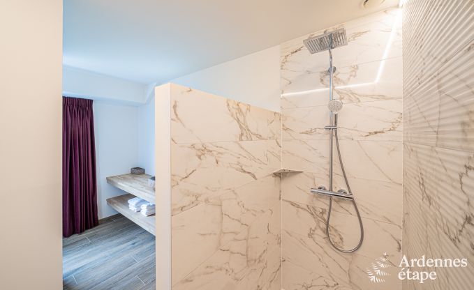 Villa de luxe Daverdisse, 10 chambres, 9 salles de bains, piscine, jacuzzi, sauna, salle de jeux, proche fort et rivire