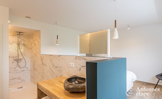 Villa de luxe Daverdisse, 10 chambres, 9 salles de bains, piscine, jacuzzi, sauna, salle de jeux, proche fort et rivire