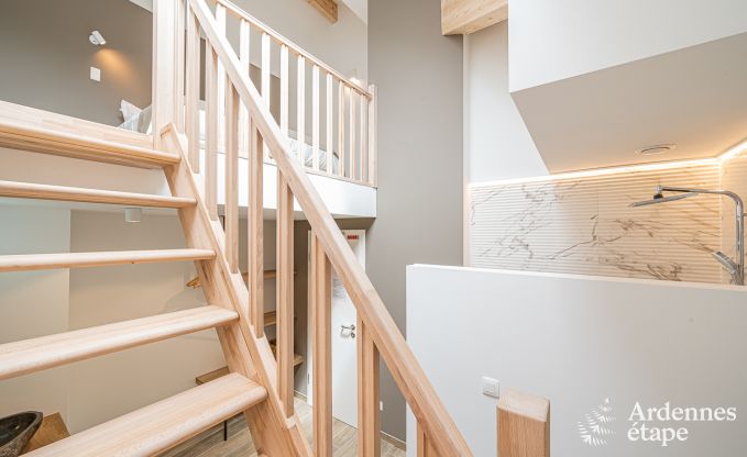 Villa de luxe Daverdisse, 10 chambres, 9 salles de bains, piscine, jacuzzi, sauna, salle de jeux, proche fort et rivire