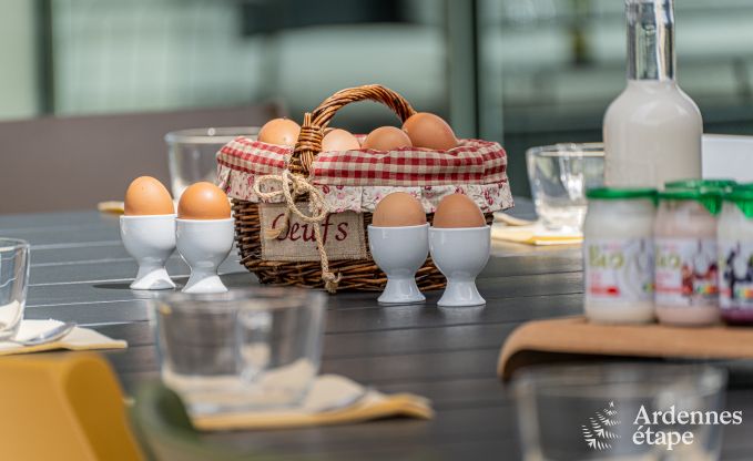 Villa de luxe Daverdisse, 10 chambres, 9 salles de bains, piscine, jacuzzi, sauna, salle de jeux, proche fort et rivire