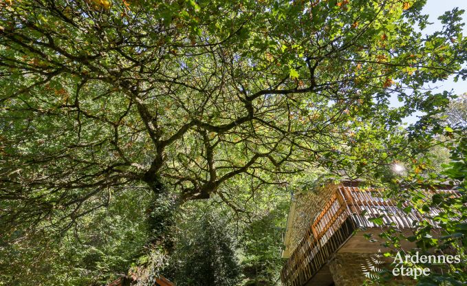 Chalet  Daverdisse pour 8 personnes en Ardenne