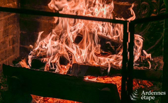 Maison de vacances  Daverdisse pour 14 personnes en Ardenne