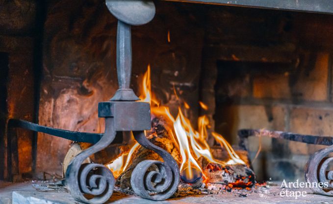 Maison de vacances  Daverdisse pour 9 personnes en Ardenne