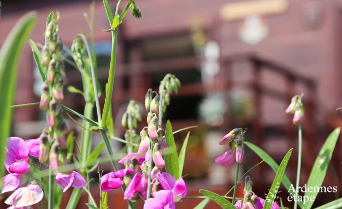 Chalet  Dinant (Hastire) pour 6 personnes en Ardenne