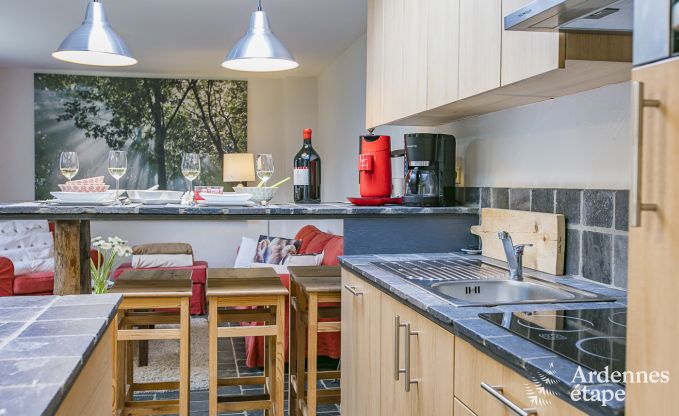 Maison de vacances  Dinant (Hastire) pour 12/13 personnes en Ardenne