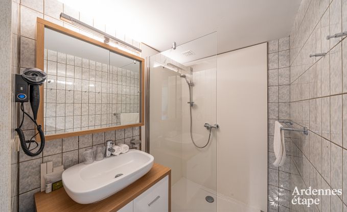 Gite de charme  Dinant pour 20 personnes en Ardenne