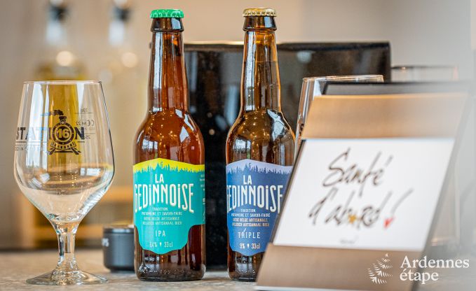 G�te insolite � Dinant pour 2/3 personnes en Ardenne