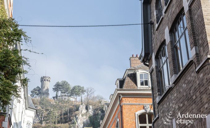 Maison de vacances � Dinant pour 12/14 personnes en Ardenne