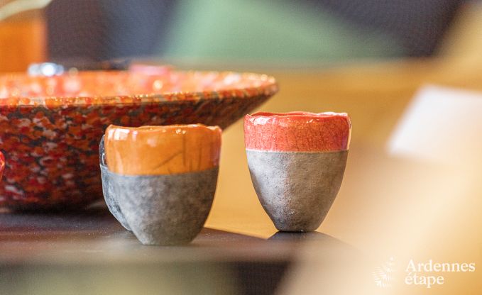 Maison de vacances � Dinant pour 12/14 personnes en Ardenne