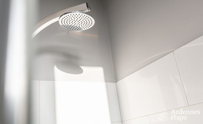 Maison de vacances � Dinant pour 12/14 personnes en Ardenne