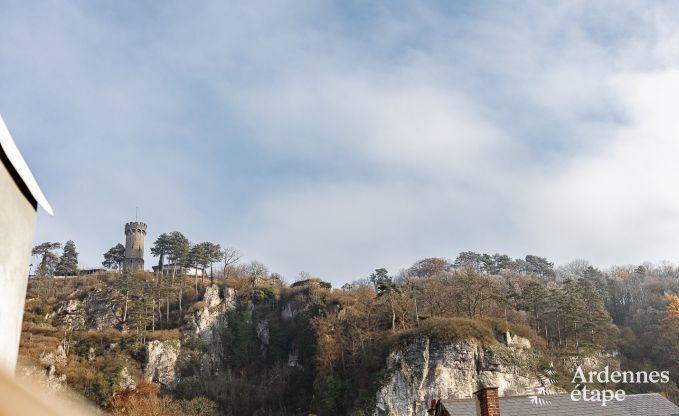 Maison de vacances � Dinant pour 12/14 personnes en Ardenne