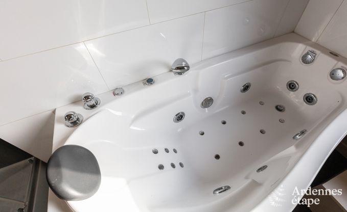 Maison de vacances � Dinant pour 12/14 personnes en Ardenne