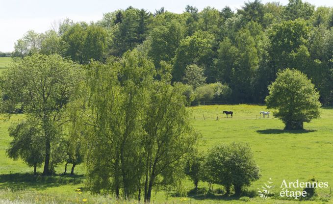 Maison de vacances � Dinant pour 8 personnes en Ardenne