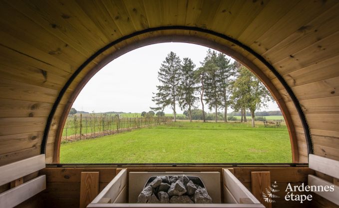 Villa de Luxe � Dinant pour 14 personnes en Ardenne