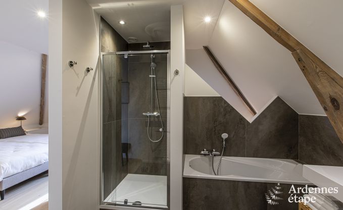 Villa de Luxe � Dinant pour 14 personnes en Ardenne