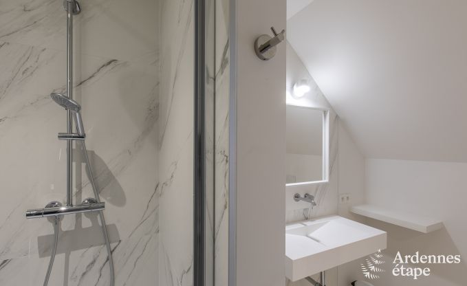 Villa de Luxe � Dinant pour 14 personnes en Ardenne