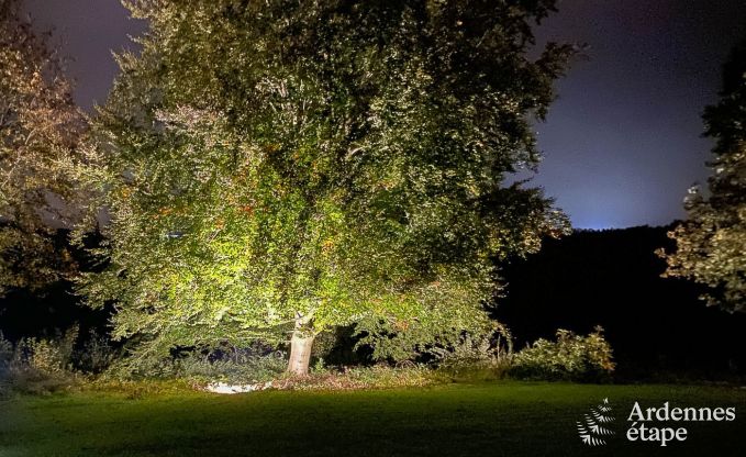 Spacieuse maison de vacances avec piscine  Dinant, Ardenne