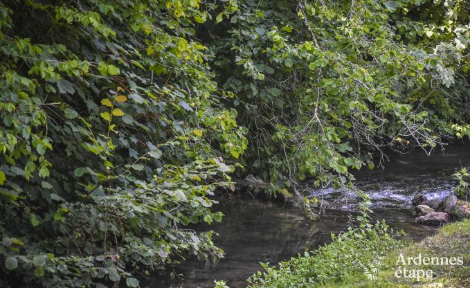 Maison de vacances  Dinant pour 4 personnes en Ardenne