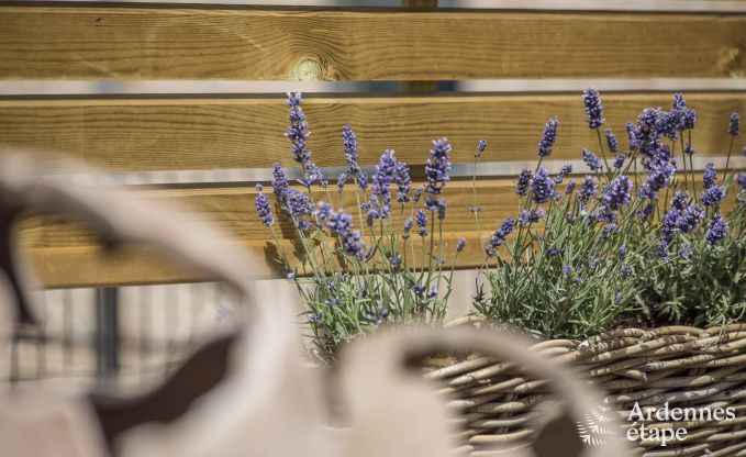 Maison de vacances � Doische pour 8 personnes en Ardenne