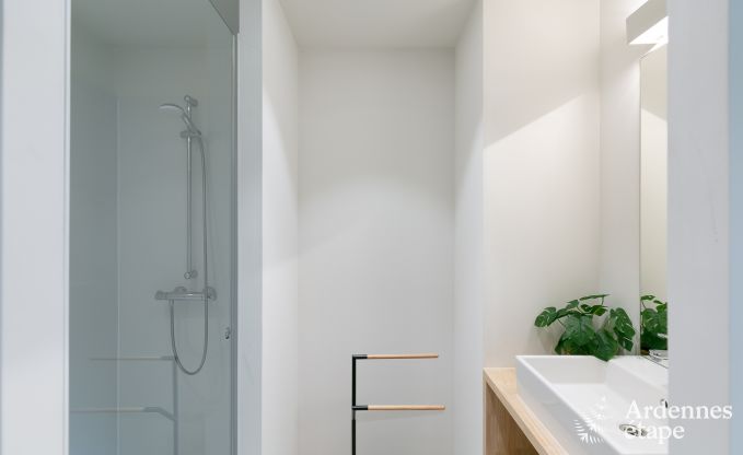 Maison de vacances  Doische pour 16/18 personnes en Ardenne