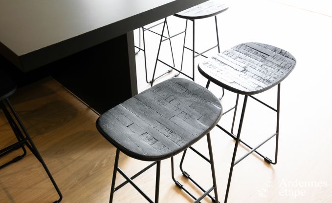 Maison de vacances  Doische pour 16/18 personnes en Ardenne