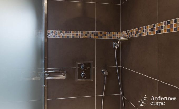 Villa de luxe pour 8 personnes  Doische : cabine infrarouge, jacuzzi, cassette  bois, tang et jardin priv