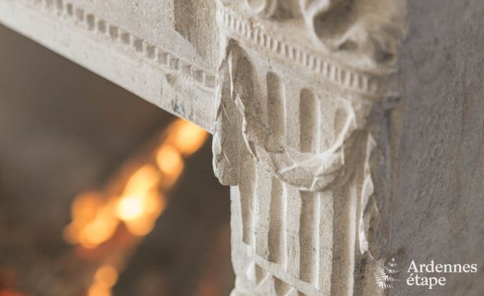 Villa de luxe pour 8 personnes  Doische : cabine infrarouge, jacuzzi, cassette  bois, tang et jardin priv