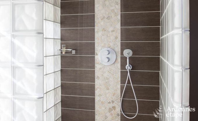 Villa de luxe pour 8 personnes � Doische : cabine infrarouge, jacuzzi, cassette � bois, �tang et jardin priv�