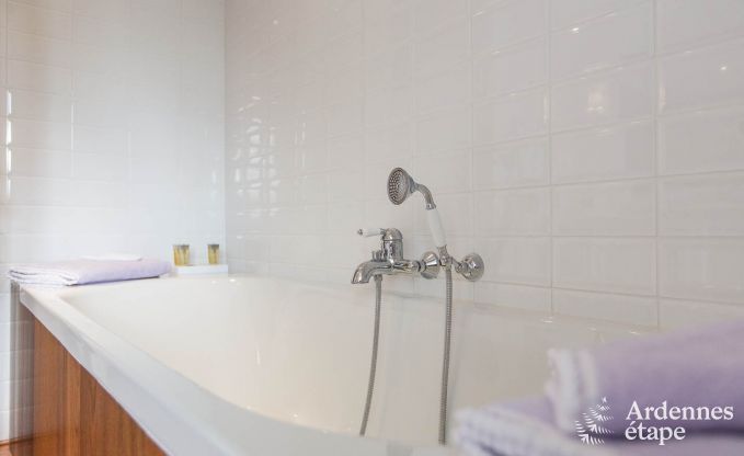 Villa de luxe pour 8 personnes � Doische : cabine infrarouge, jacuzzi, cassette � bois, �tang et jardin priv�