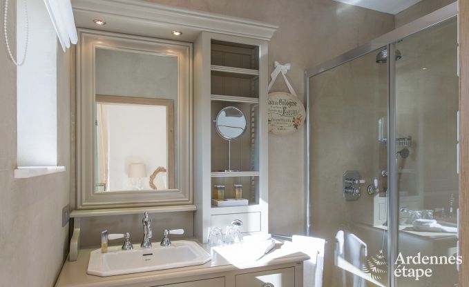 Villa de luxe pour 8 personnes � Doische : cabine infrarouge, jacuzzi, cassette � bois, �tang et jardin priv�