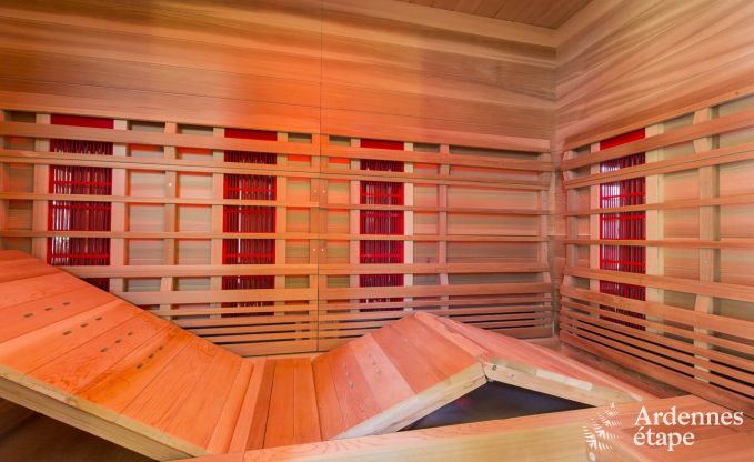 Villa de luxe pour 8 personnes � Doische : cabine infrarouge, jacuzzi, cassette � bois, �tang et jardin priv�