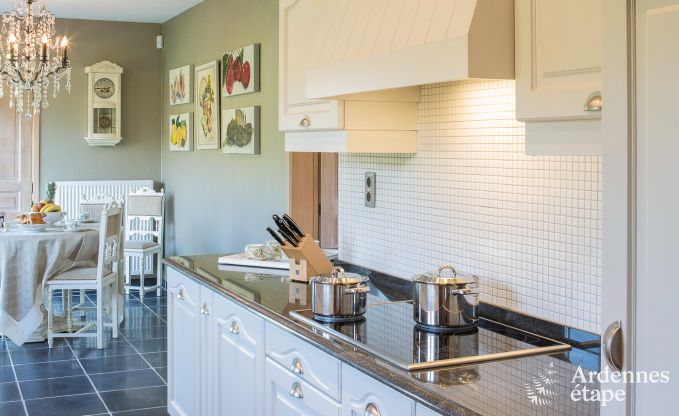 Villa de luxe pour 8 personnes � Doische : cabine infrarouge, jacuzzi, cassette � bois, �tang et jardin priv�