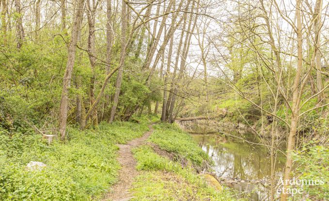 Chalet  Doische pour 2/3 personnes en Ardenne