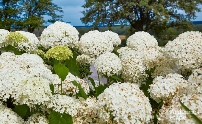 Maison de vacances  Doische pour 8 personnes en Ardenne